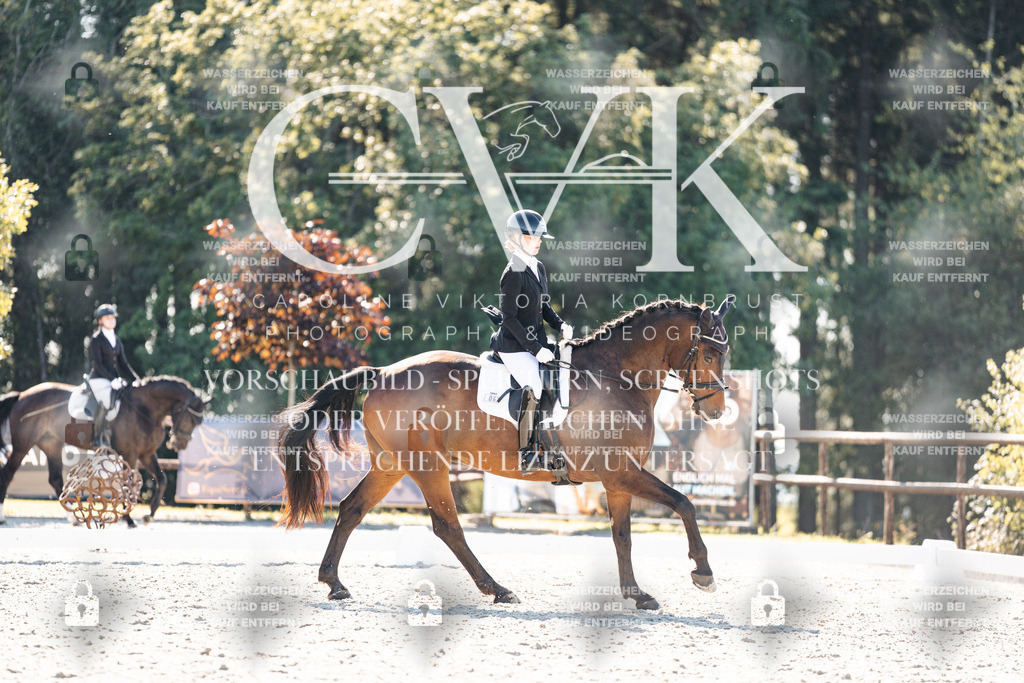 CK905741 | Turnierfotografie Pferdefotografie Trier Rheinland-Pfalz Pferdesport Reitsport Tierfotografie Sportfotografie Pferdevideo Pferdevideografie Equestrianvideography equestrianphotography  - Realisiert mit Pictrs.com