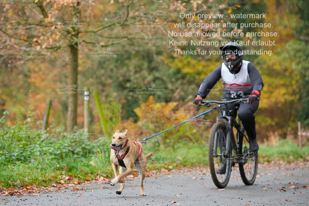 Bike_So-144 | stephaniefillaphotographie - Realisiert mit Pictrs.com