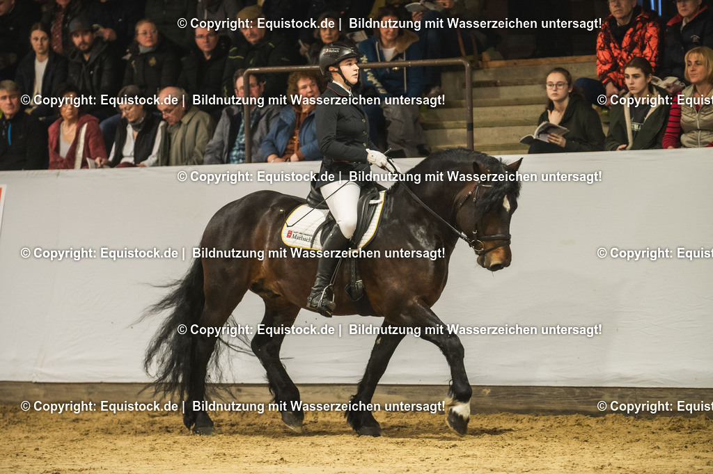 20240302_Hengstvorstellung_Marbach_TOMsPiC_0309-2 | equistock