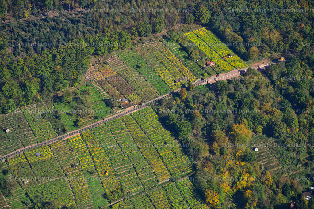 3491160 | Weinberge bei Klingenberg