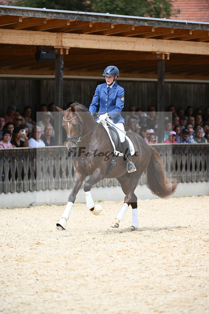 Hengste im Sport_36240195 | hf-fotografie - Realisiert mit Pictrs.com