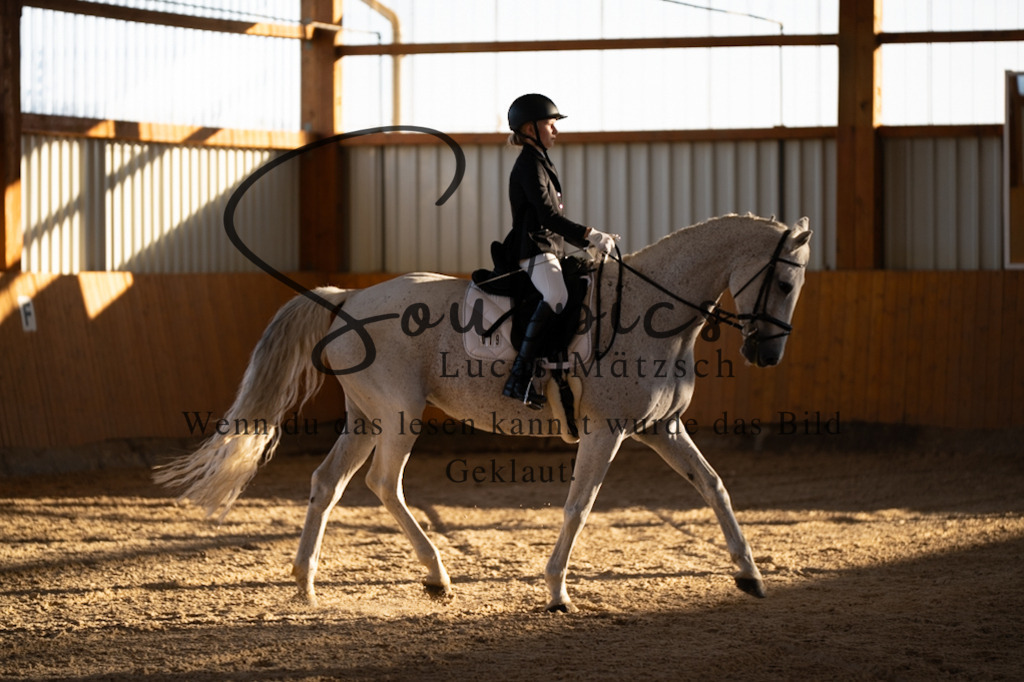 A7V01575 | Pferdefotograf