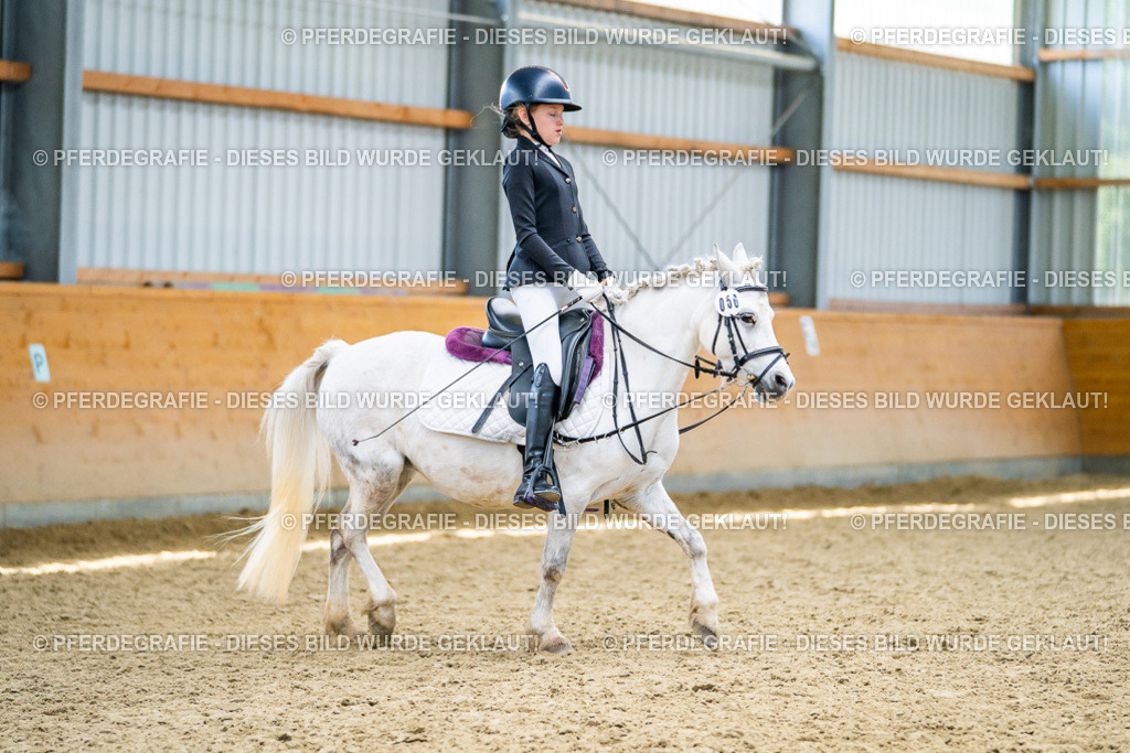 DSC04965 | Pferdegrafie