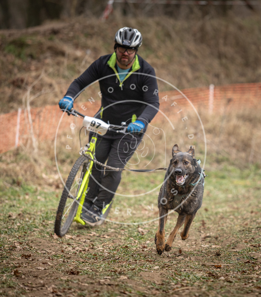 Pfotenfotografie_DV3A7141 | Hundefotografie, Tierfotograf, Pfotenfotografie, Fotoshooting Hund, Hunde Portrait, Hundesport, Hundeportraits, Heideshooting, Hunde, Sportfotograf, Hundefotograf, Turnierhundsport, THS,  - Realisiert mit Pictrs.com