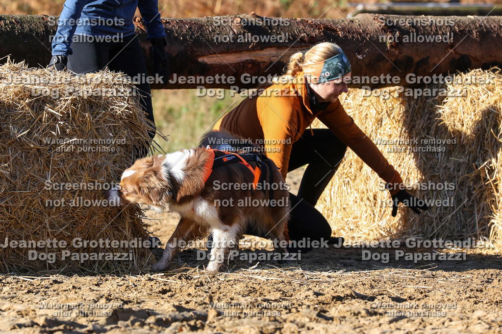 Dog Paparazzi - Strongdog 10-25-1635 | Dog Paparazzi Jeanette Grottendiek Fotografie & Videografie - Realisiert mit Pictrs.com