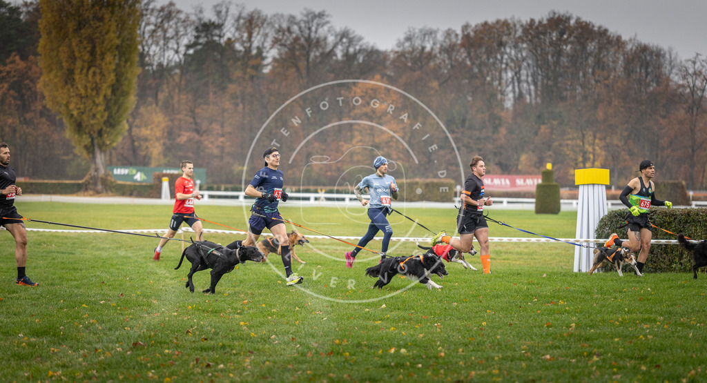 CaniXpix_DV3A9517 | Hundefotografie, Tierfotograf, Pfotenfotografie, Fotoshooting Hund, Hunde Portrait, Hundesport, Hundeportraits, Heideshooting, Hunde, Sportfotograf, Hundefotograf, Turnierhundsport, THS,  - Realisiert mit Pictrs.com