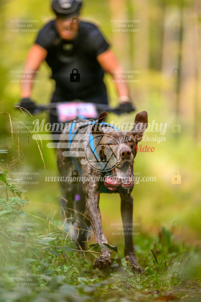 MompixPhotography_Yens2025_B2-32 | PayLife