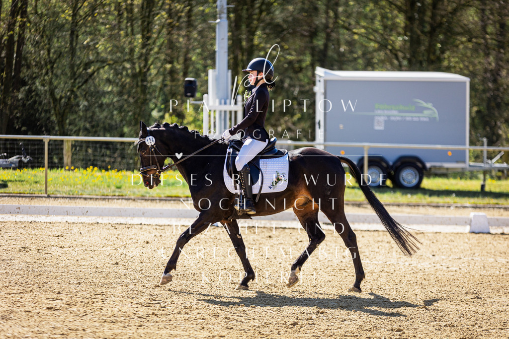 IMGT0162 | pl-fotografie