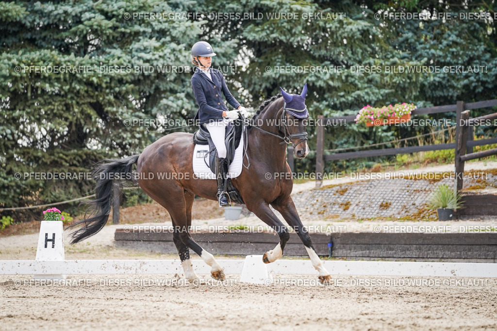 DSC01486 | Pferdegrafie