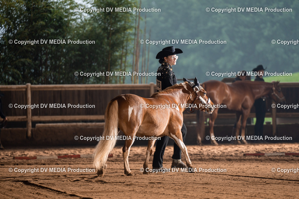 Erbach Tag 2-134 | dv-media-shop - Realisiert mit Pictrs.com