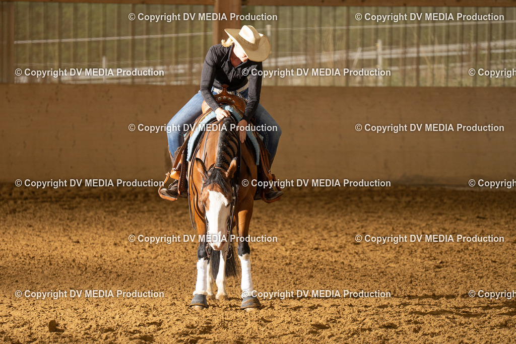 LAU01356 | dv-media-shop - Realisiert mit Pictrs.com