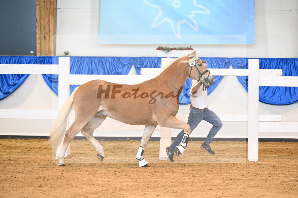 Kat-Nr. 12 Sterzing v. Steingold_Niedermair_60220152 | hf-fotografie - Realisiert mit Pictrs.com