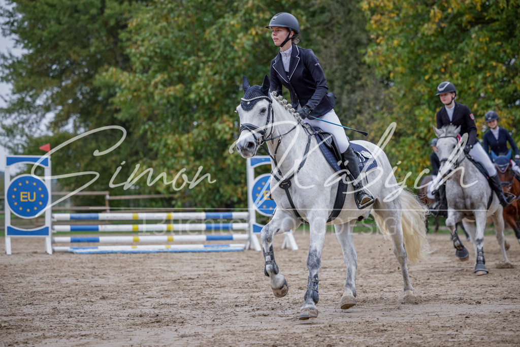 20251012-_3LI3575 | Tierfotografie Pferde, Hunde, Katzen, Haustiere.
Turnierfotografie Reitturniere, Reiten, Springreiten, Dressur in Hanau, dem Main-Kinzig-Kreis und dem Rhein-Main- Gebiet um Frankfurt