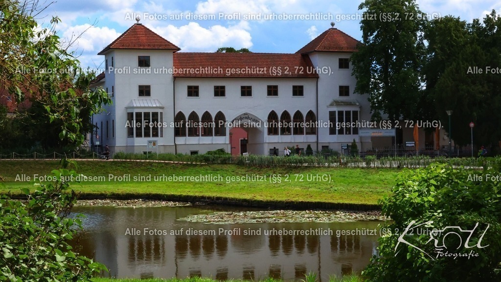 Photo_1753818992049 | krollfotografie - Realisiert mit Pictrs.com