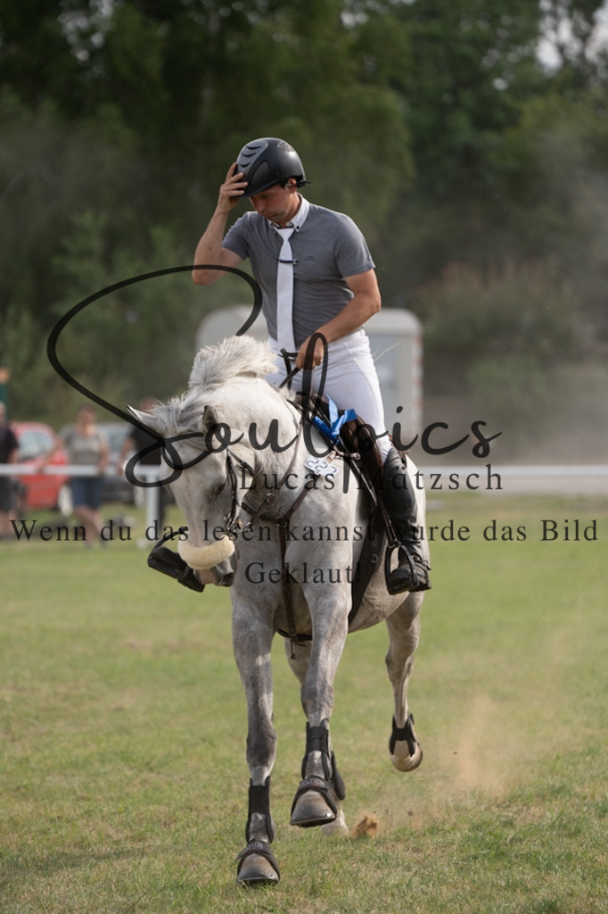 A7V02956 | Pferdefotograf