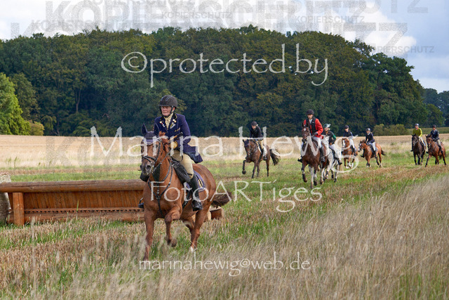 08-23 Bredeneek Jagd_MCH8730_Marina Hewig | Fotografie, FotoArt, PferdesportArt, Pferdesportfotografie, Landschaftsfotografie, Reisefotografie, Reise, Pferde - Realisiert mit Pictrs.com