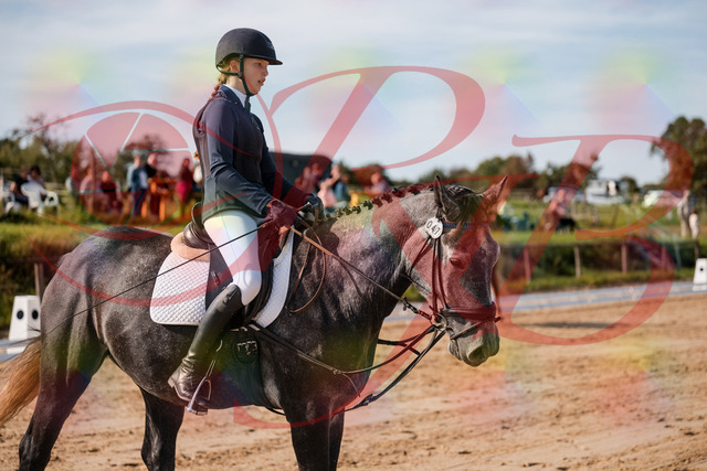 2026_10_03_Siefer-Hof_120152_Z63_34535709 | Professionelle Reitsport-, Turnier- und Eventfotografie von Robert Broda. Galerien mit ausgewählten und bearbeiteten Bildern direkt online ansehen und bestellen.