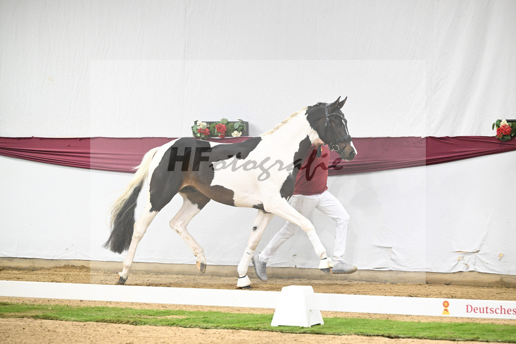 Kat-Nr. 117 Classic Deluxe x Don Martillo_Horst Schepper_47254018 | hf-fotografie - Realisiert mit Pictrs.com