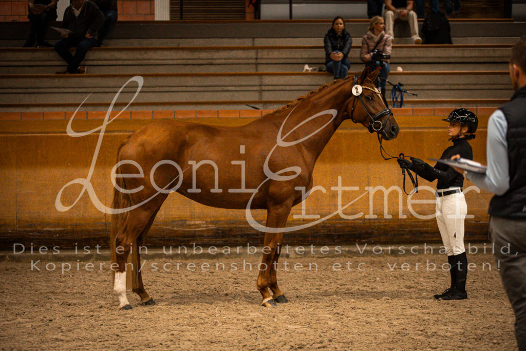 1Schritt00012 | Leoni Ertmer Photography - Realisiert mit Pictrs.com