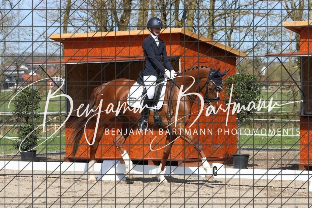 AZ2A5919 | Benjamin Bartmann Photomoments