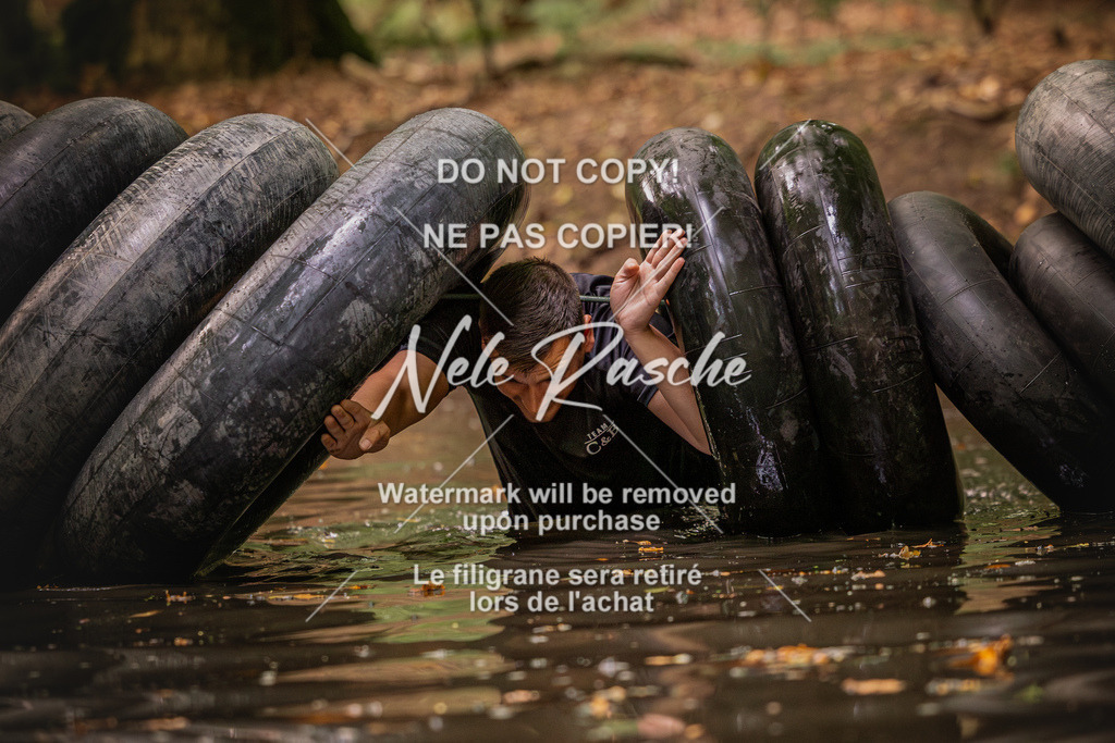 nelerasche_SaWingst0845-1000_173 | nelerasche