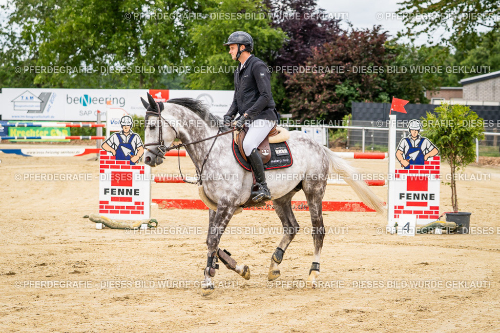 DSC06076 | Pferdegrafie