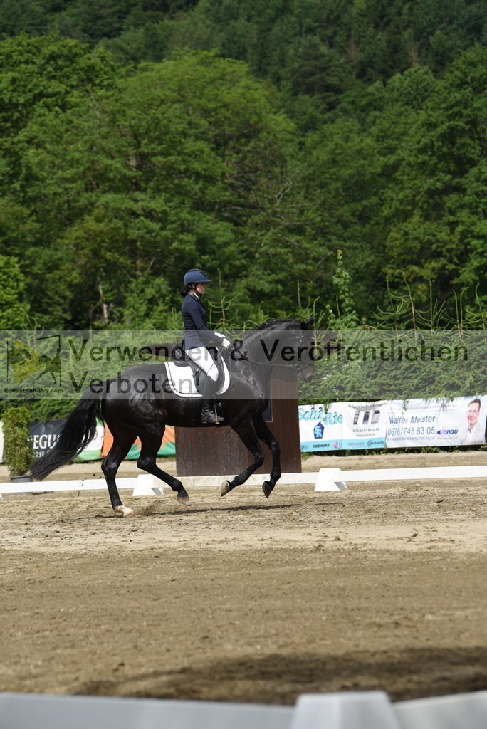 DSC_8418 | equestrian-live-com