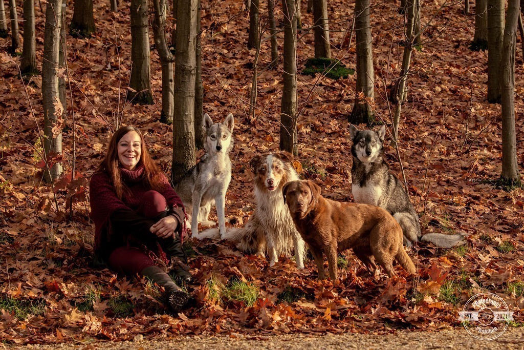 Lieblingsbilder_Photoboo_55 | Pferde- und Hundefotografie in Köln und Umgebung von Vanessza Csuka - Realisiert mit Pictrs.com