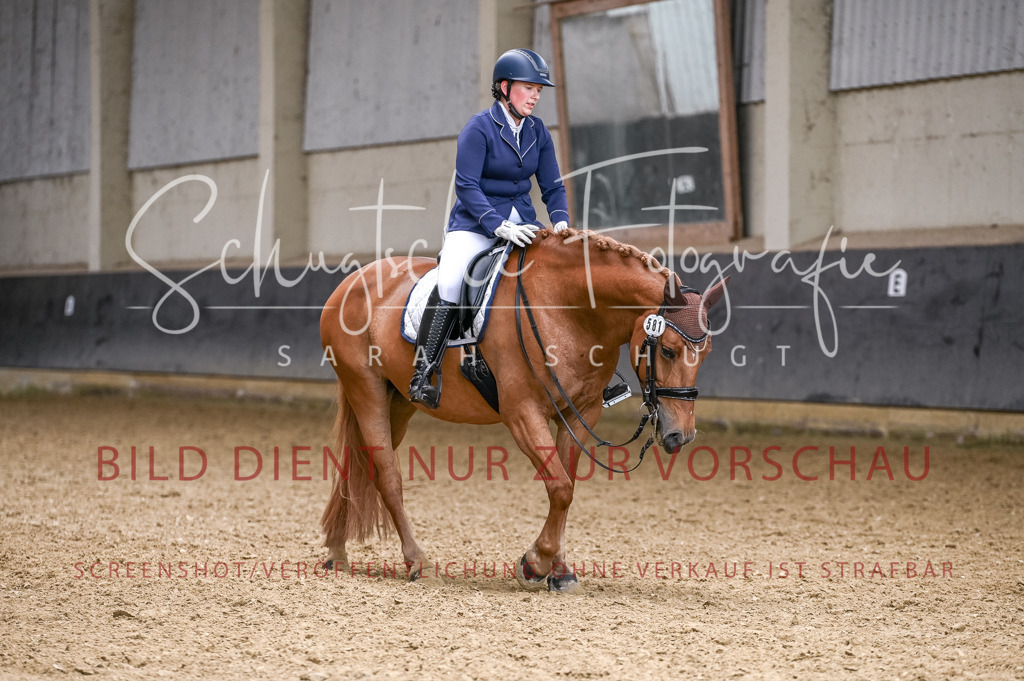 Schugtsche-Aluta25-57.Dressurprf.M1Kand-142 | Schugtsche Fotografie - Realisiert mit Pictrs.com