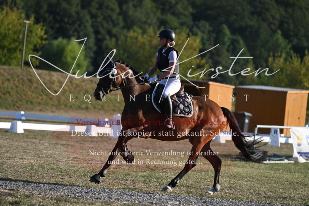 DSC_9158 | Pferde- und Turnierfotografie in Westsachsen. Pferdeportraits, Auftragszeichnungen und intuitive Kunst.