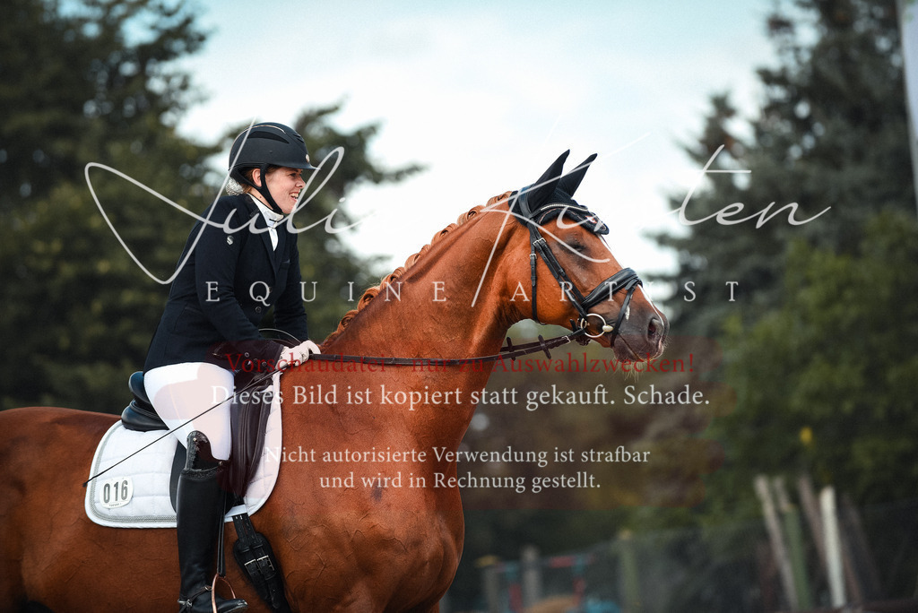 DSC_9139 | Pferde- und Turnierfotografie in Westsachsen. Pferdeportraits, Auftragszeichnungen und intuitive Kunst.