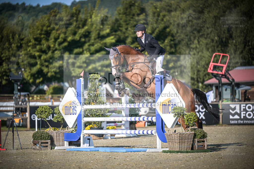 DOS_2498 | Entdecke hochwertige Reitturnierfotos von Foto Oger. Professionell, emotional und authentisch – jetzt Lieblingsmomente im Shop bestellen. - Realisiert mit Pictrs.com