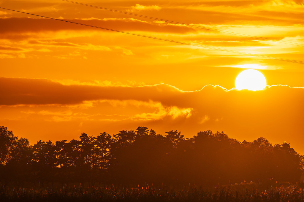 2023_08_04_HETLINGER-SCHANZE_MCP0891 | Hochwertig gedruckte Fotografien für die Wand, als Kalender und zum Verschenken. Hamburg & Norddeutschland und überall wo ich mit der Kamera unterwegs war.