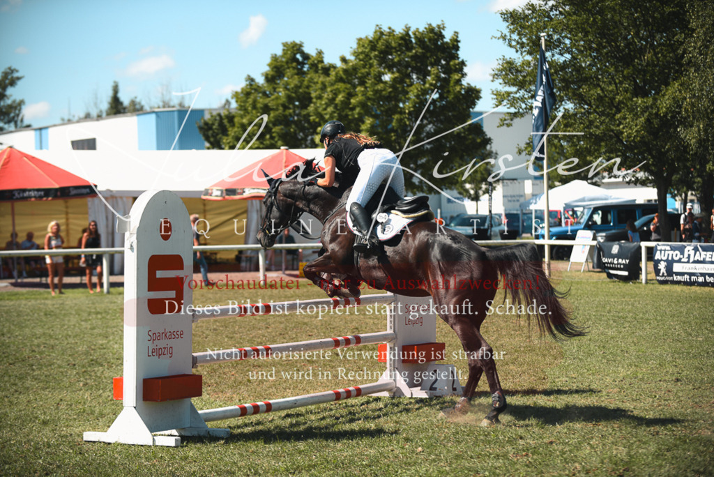 DSC_7065 | Pferde- und Turnierfotografie in Westsachsen. Pferdeportraits, Auftragszeichnungen und intuitive Kunst.