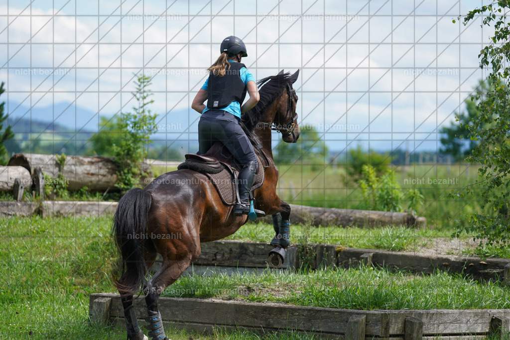 20240622-FAH07637 | Turnierfotografen Bayern, Reitsportbilder aus dem Geländekurs mit Felix Etzel auf dem Gut Waitzacker 2024