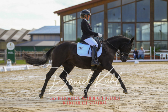 DKP43882 | Turniersportfotografie; Pferdefotografie; Dressurfotografie