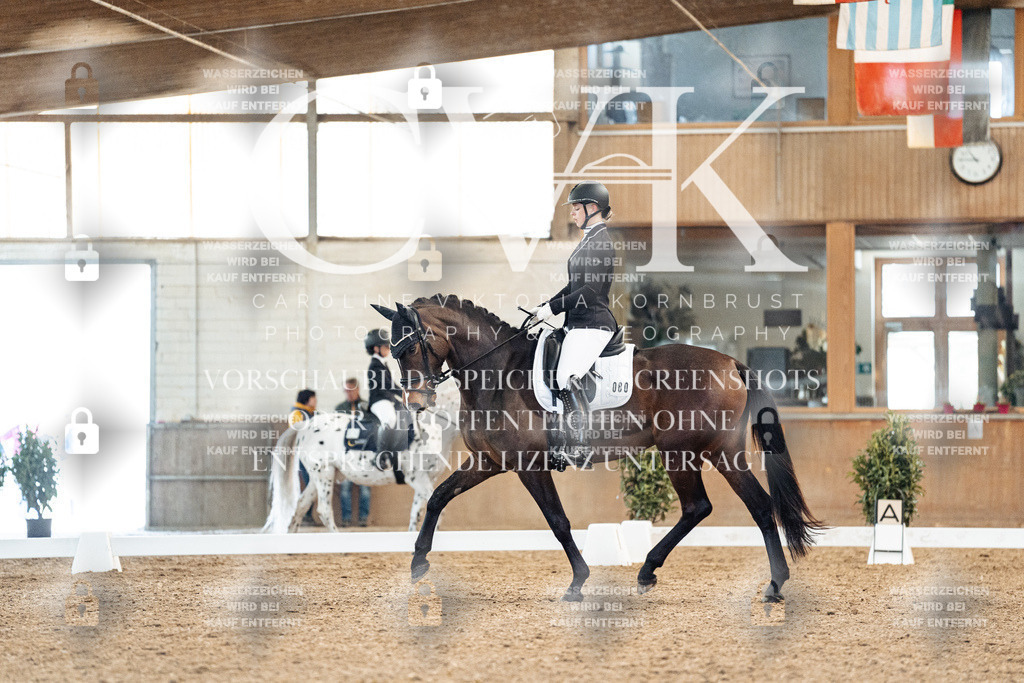 CK908796 | Turnierfotografie Pferdefotografie Trier Rheinland-Pfalz Pferdesport Reitsport Tierfotografie Sportfotografie Pferdevideo Pferdevideografie Equestrianvideography equestrianphotography  - Realisiert mit Pictrs.com