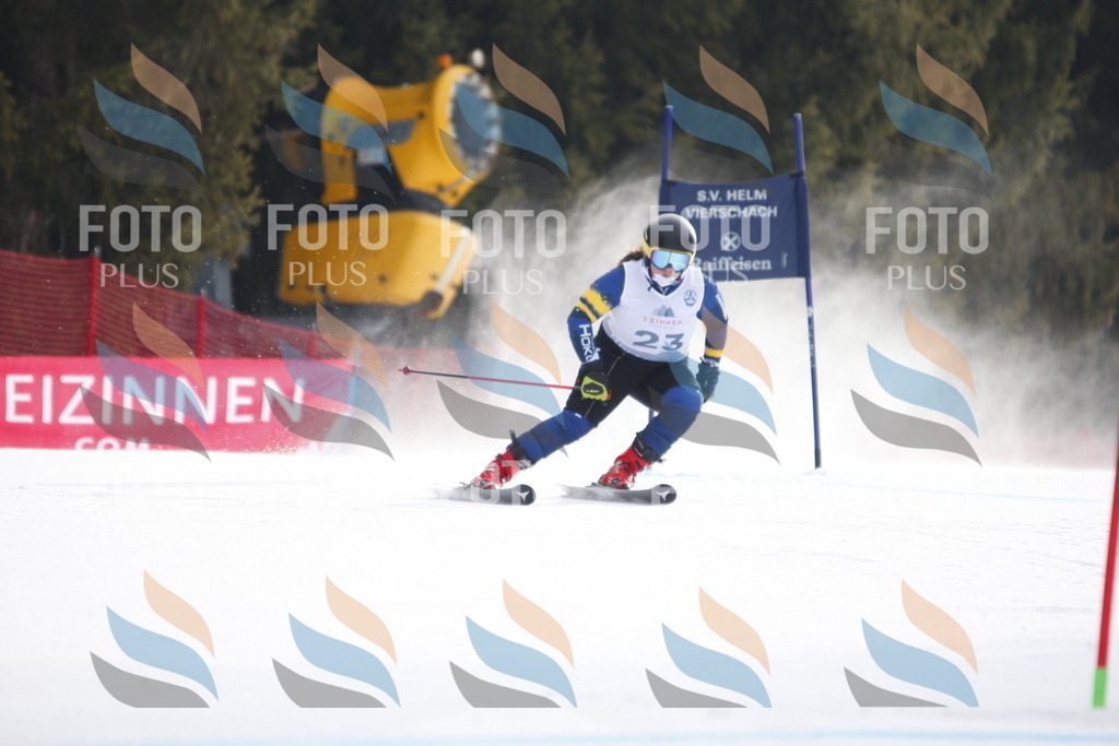 D4907 | holidayphoto