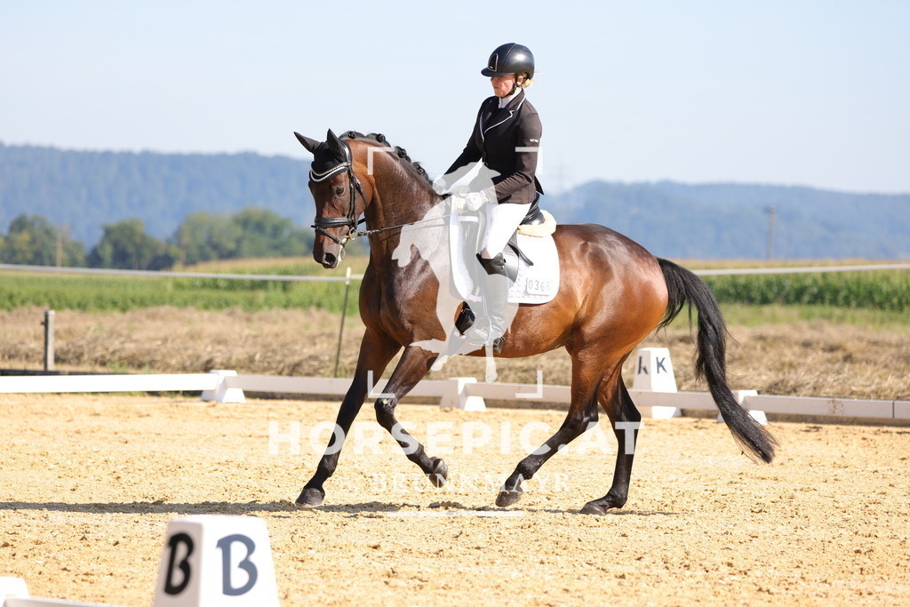 0P6A7183 | Willkommen bei Brunnmayr - Design & Fotografie – Ihrem Spezialisten für Reitturniere und Pferdeveranstaltungen in Oberösterreich, Salzburg und Bayern! Seit über 17 Jahren sind wir leidenschaftlich dabei.