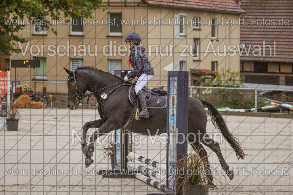 2025-09-22_10-19-49_MG_6583 | TE-Fotos