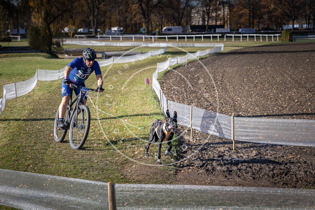 CaniXpix_DV3A5830 | Hundefotografie, Tierfotograf, Pfotenfotografie, Fotoshooting Hund, Hunde Portrait, Hundesport, Hundeportraits, Heideshooting, Hunde, Sportfotograf, Hundefotograf, Turnierhundsport, THS,  - Realisiert mit Pictrs.com