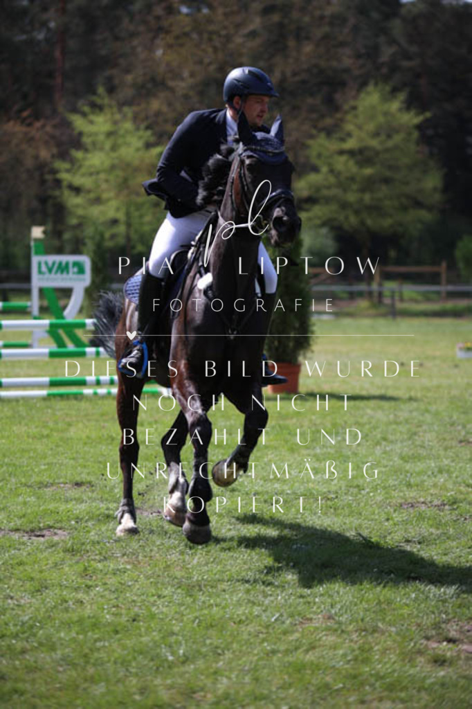 IMGT5478 | pl-fotografie