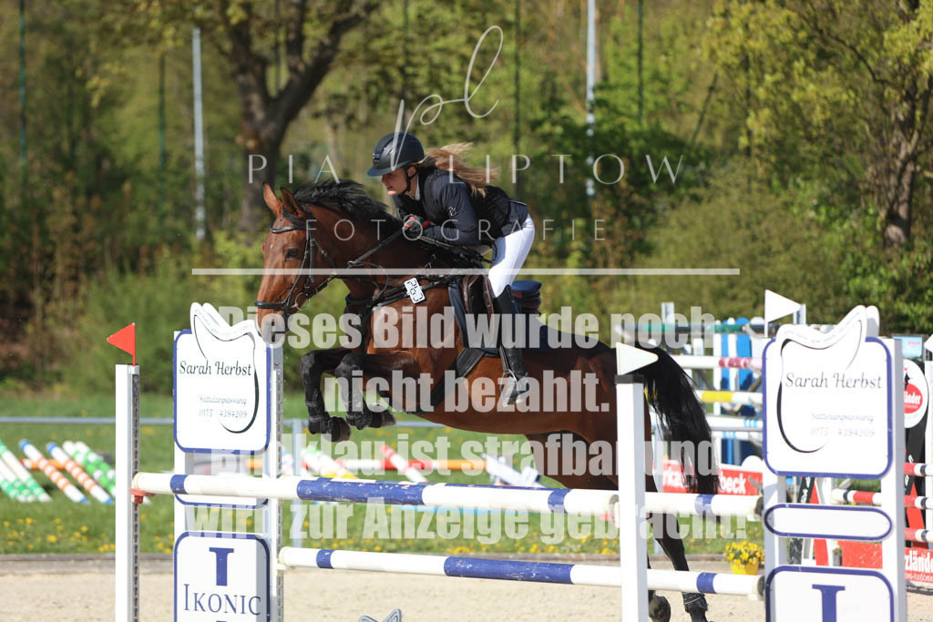 IMGM2587 | pl-fotografie