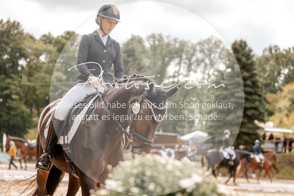 3I6A7104 | Stimmungsvolle Portraits und Reitsportfotografie im Ruhrgebiet und im Münsterland.

Pferdefotografie, Hundefotografie, Tierfotografie, Reportagen, Portraits von Tier und Mensch, Turnierfotografie in Bochum, Recklinghausen, Marl, Haltern am See, Dülmen.. - Realisiert mit Pictrs.com