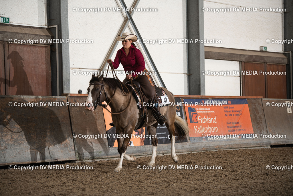 Heiligenwald Tag 1-319 | dv-media-shop - Realisiert mit Pictrs.com