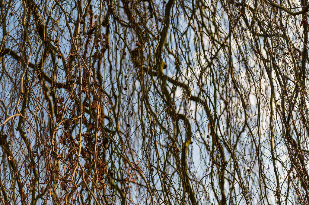 2025_03_23_HH-BLANKENSE+ELBE_MCP6895 | Hochwertig gedruckte Fotografien für die Wand, als Kalender und zum Verschenken. Hamburg & Norddeutschland und überall wo ich mit der Kamera unterwegs war.