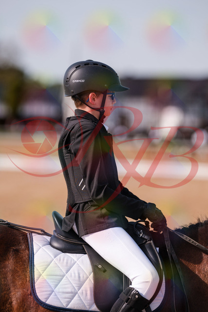 2026_10_03_Siefer-Hof_122322_Z81_24004541 | Professionelle Reitsport-, Turnier- und Eventfotografie von Robert Broda. Galerien mit ausgewählten und bearbeiteten Bildern direkt online ansehen und bestellen.