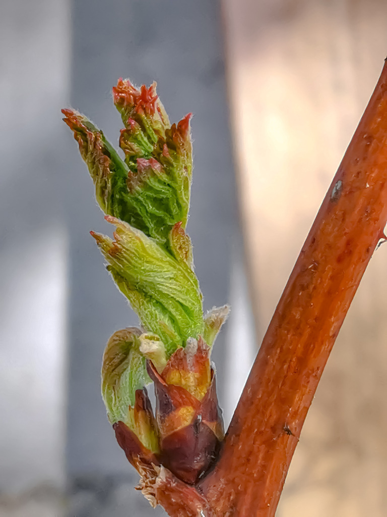 PSX_20230321_222151 | mtkfoto_ - Realisiert mit Pictrs.com