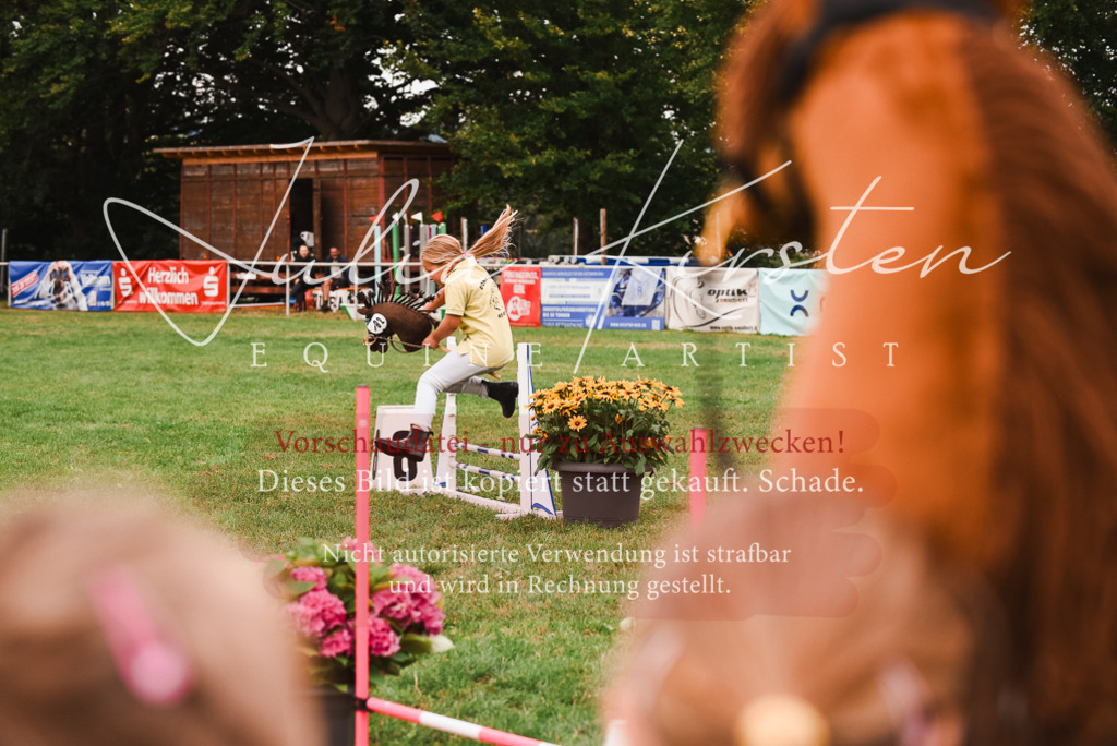 DSC_4502 | Pferde- und Turnierfotografie in Westsachsen. Pferdeportraits, Auftragszeichnungen und intuitive Kunst.