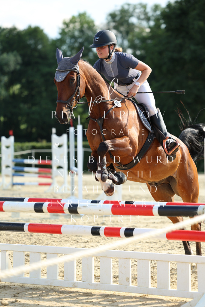 IMGM7593 | pl-fotografie